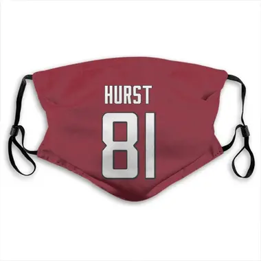 hayden hurst jersey